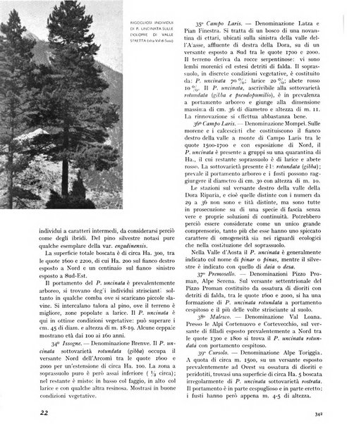 La rivista forestale italiana