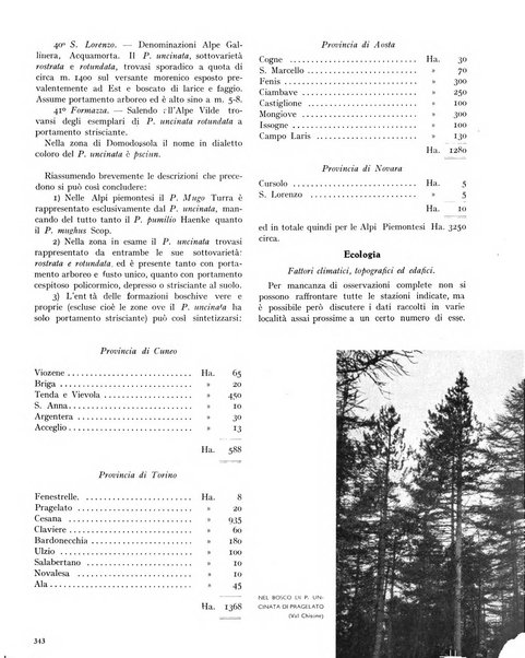 La rivista forestale italiana