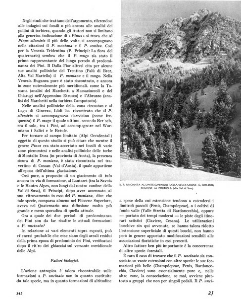 La rivista forestale italiana