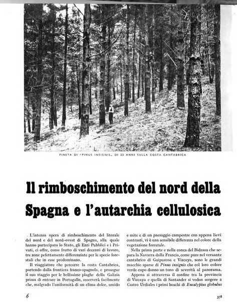 La rivista forestale italiana