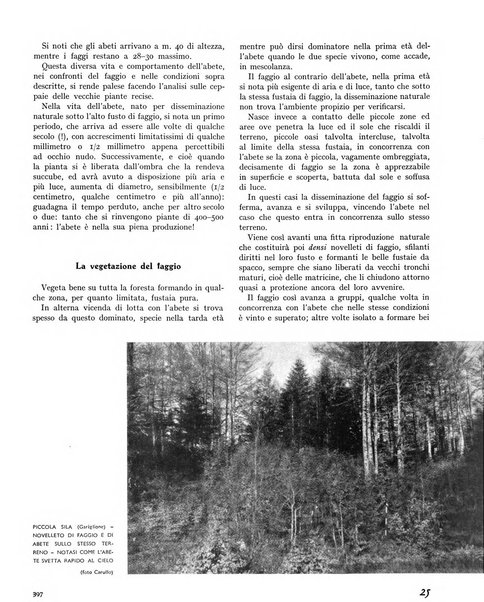 La rivista forestale italiana