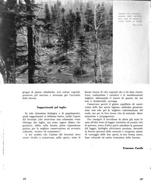 La rivista forestale italiana