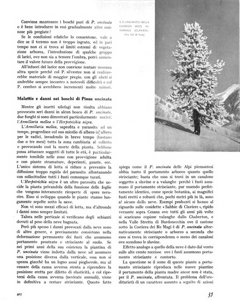 La rivista forestale italiana