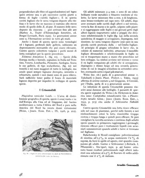 La rivista forestale italiana