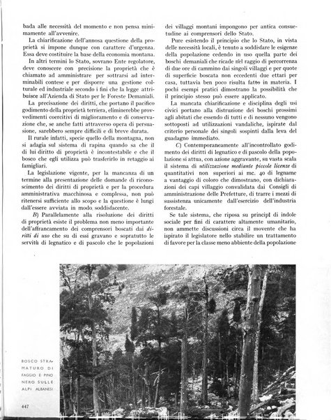 La rivista forestale italiana