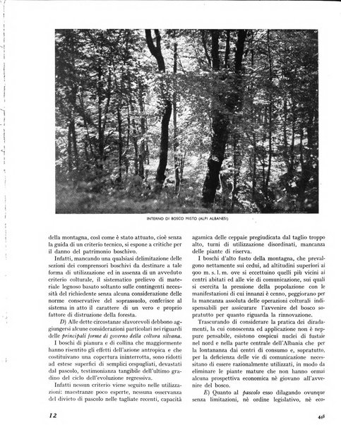 La rivista forestale italiana