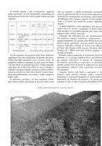 giornale/TO00194294/1940/unico/00000472