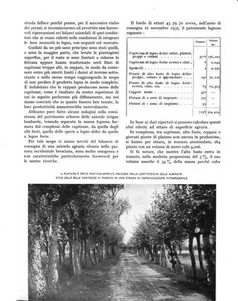 La rivista forestale italiana