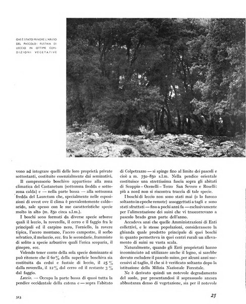 La rivista forestale italiana