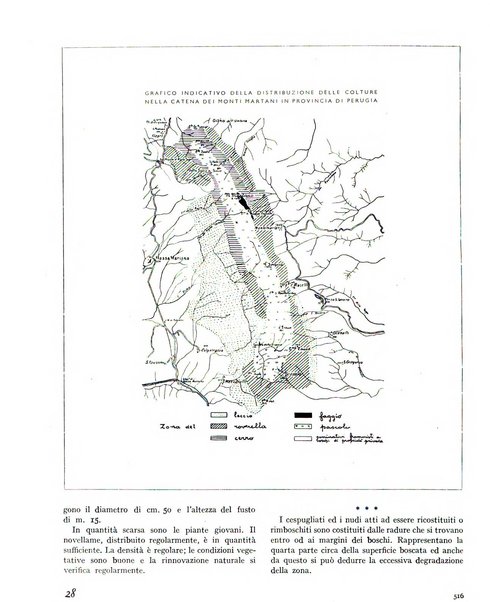 La rivista forestale italiana