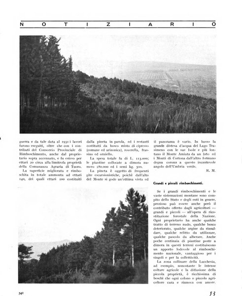 La rivista forestale italiana