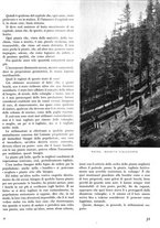 giornale/TO00194294/1941/unico/00000037