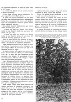 giornale/TO00194294/1941/unico/00000049