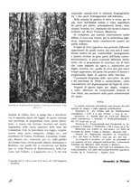 giornale/TO00194294/1941/unico/00000052