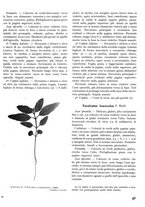 giornale/TO00194294/1941/unico/00000055