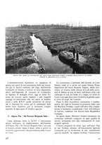 giornale/TO00194294/1941/unico/00000102