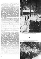 giornale/TO00194294/1941/unico/00000181