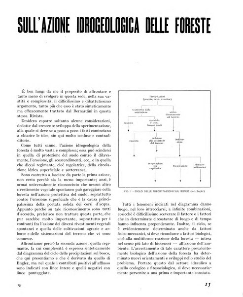 La rivista forestale italiana