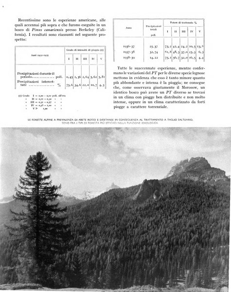 La rivista forestale italiana