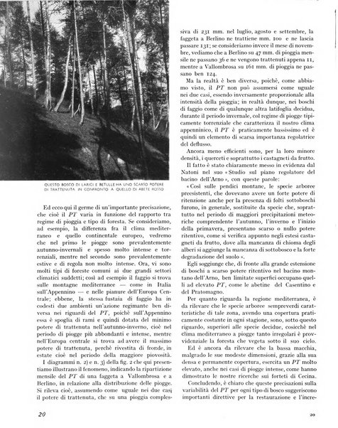 La rivista forestale italiana