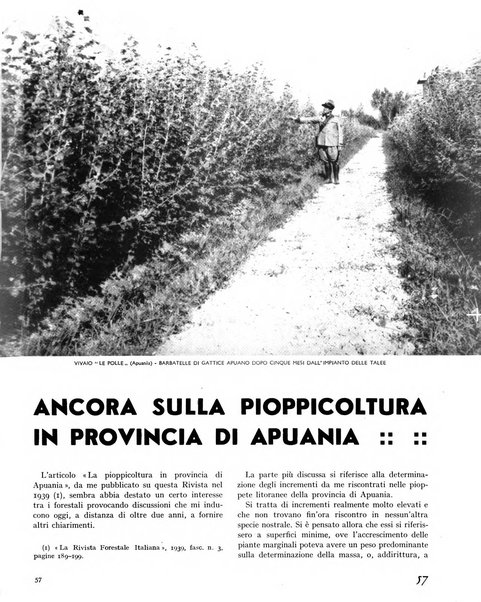 La rivista forestale italiana