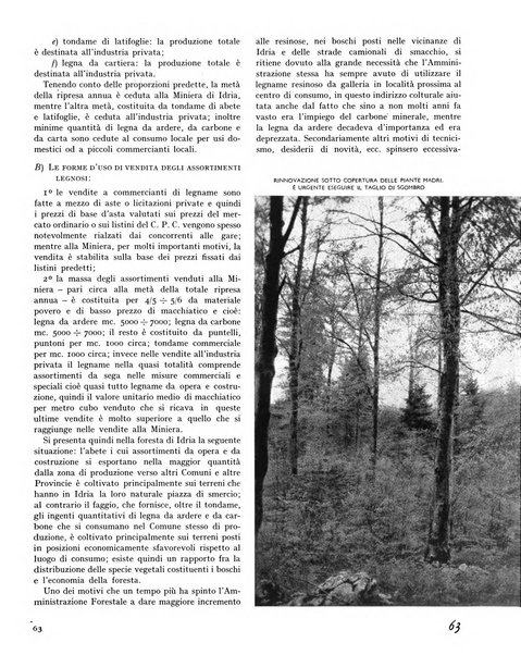 La rivista forestale italiana