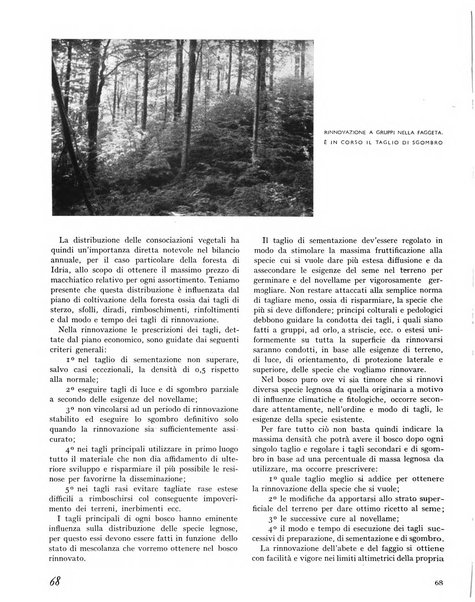 La rivista forestale italiana