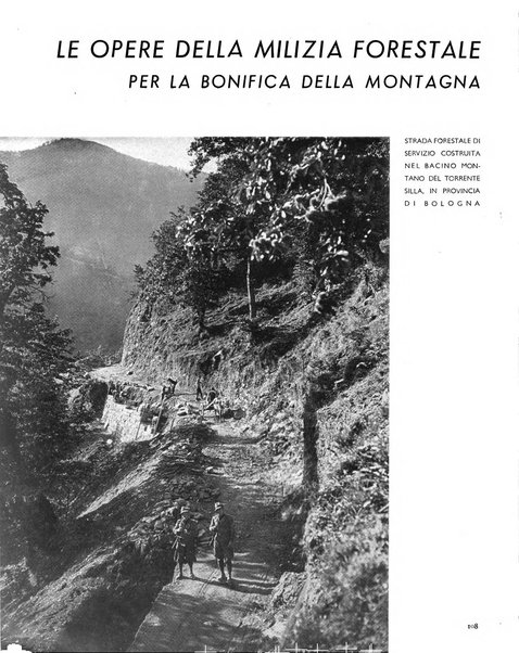 La rivista forestale italiana