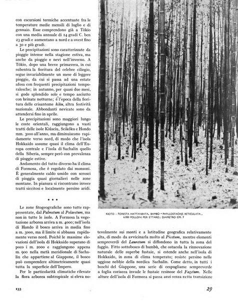 La rivista forestale italiana