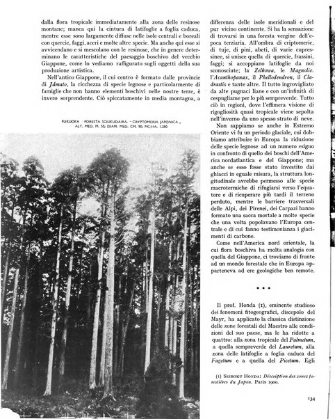 La rivista forestale italiana