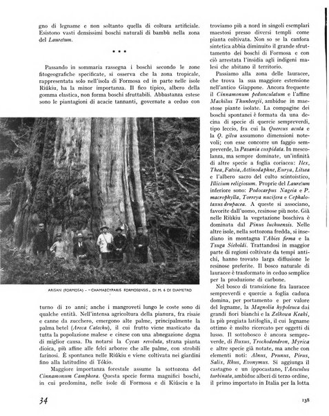 La rivista forestale italiana