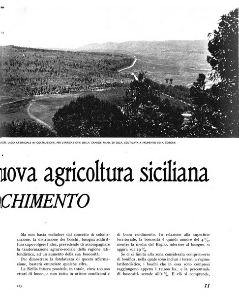 La rivista forestale italiana