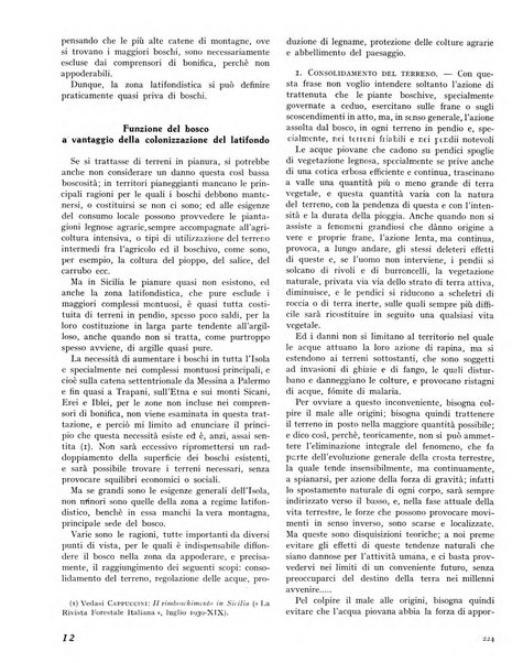 La rivista forestale italiana