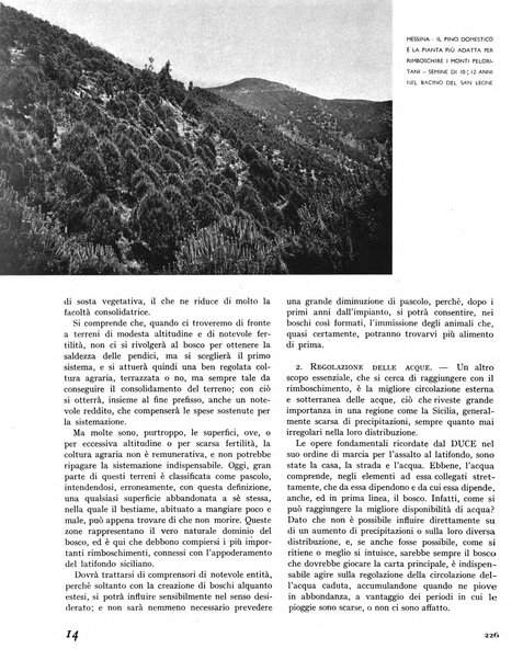 La rivista forestale italiana