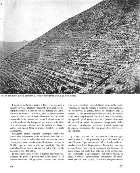 La rivista forestale italiana