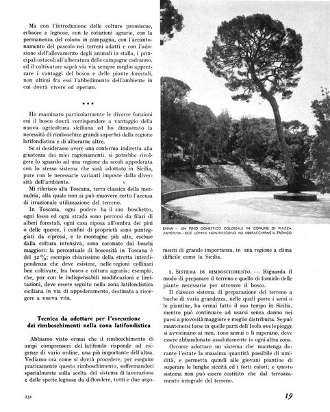 La rivista forestale italiana