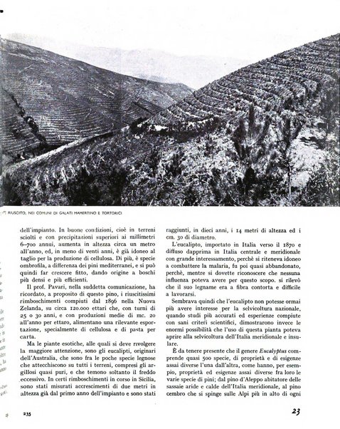 La rivista forestale italiana