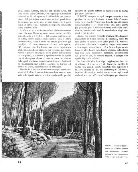 La rivista forestale italiana