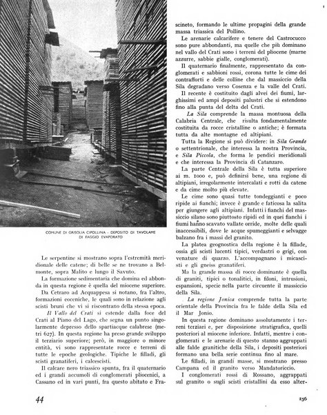 La rivista forestale italiana