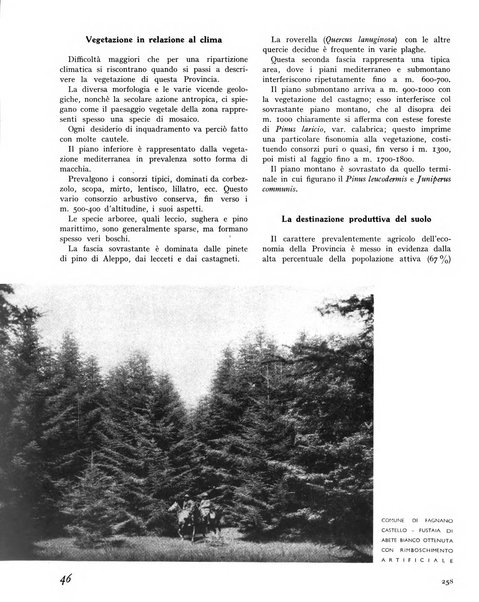 La rivista forestale italiana