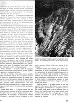 giornale/TO00194294/1942/unico/00000279