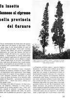 giornale/TO00194294/1942/unico/00000285