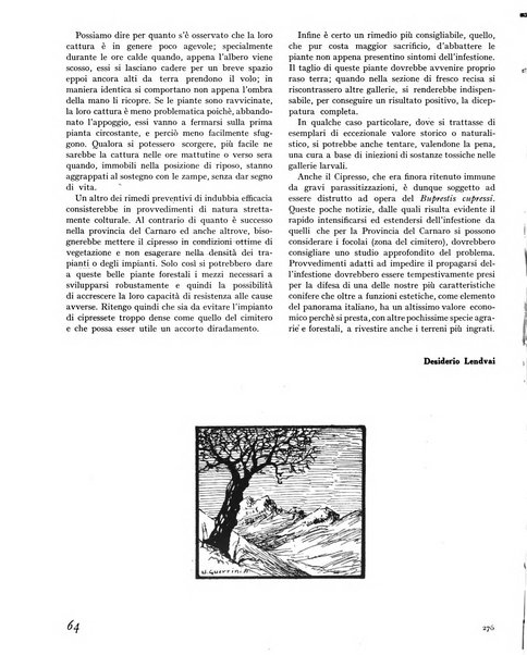 La rivista forestale italiana