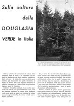 giornale/TO00194294/1942/unico/00000307