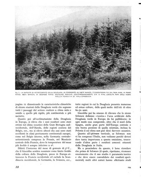 La rivista forestale italiana