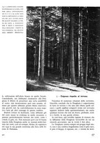 giornale/TO00194294/1942/unico/00000317