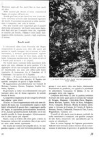 giornale/TO00194294/1942/unico/00000333