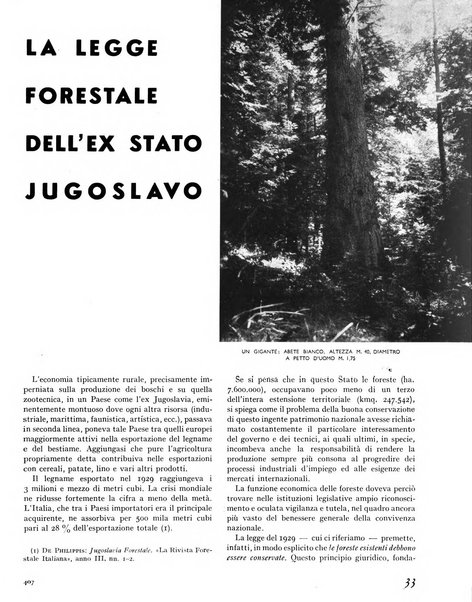 La rivista forestale italiana