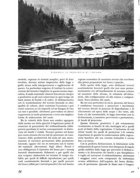 La rivista forestale italiana