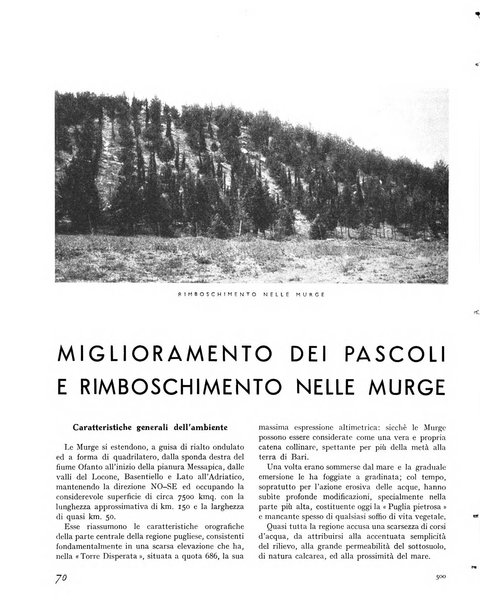 La rivista forestale italiana